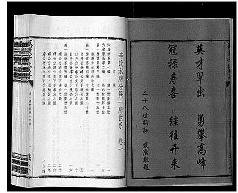 [辛]万载辛氏族谱_按房分卷_总卷2册_长房谱44册_次房谱1册_幼房18册 (江西) 万载辛氏家谱_六.pdf