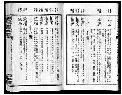 [辛]万载辛氏族谱_按房分卷_总卷2册_长房谱44册_次房谱1册_幼房18册 (江西) 万载辛氏家谱_七.pdf