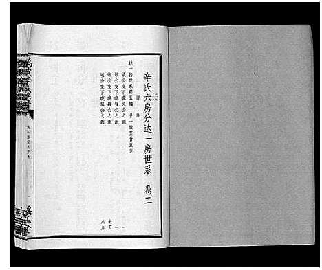 [辛]万载辛氏族谱_按房分卷_总卷2册_长房谱44册_次房谱1册_幼房18册 (江西) 万载辛氏家谱_九.pdf