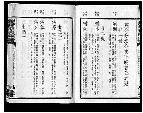 [辛]万载辛氏族谱_按房分卷_总卷2册_长房谱44册_次房谱1册_幼房18册 (江西) 万载辛氏家谱_九.pdf