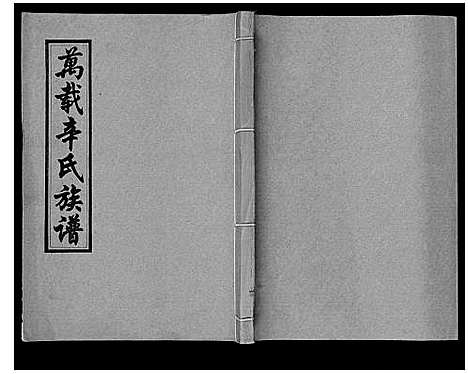 [辛]万载辛氏族谱_按房分卷_总卷2册_长房谱44册_次房谱1册_幼房18册 (江西) 万载辛氏家谱_十一.pdf