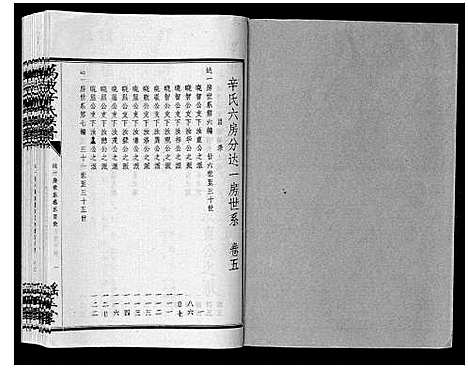 [辛]万载辛氏族谱_按房分卷_总卷2册_长房谱44册_次房谱1册_幼房18册 (江西) 万载辛氏家谱_十二.pdf