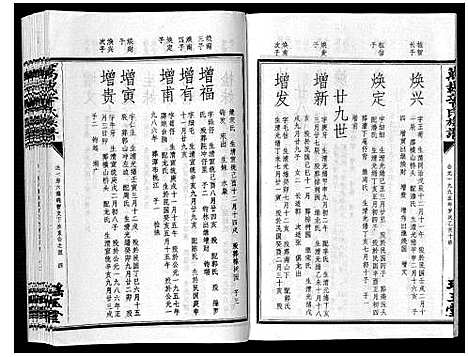 [辛]万载辛氏族谱_按房分卷_总卷2册_长房谱44册_次房谱1册_幼房18册 (江西) 万载辛氏家谱_十二.pdf