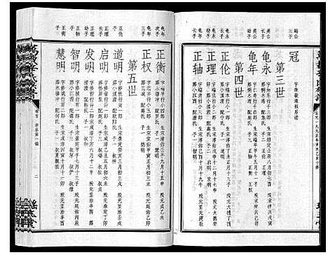 [辛]万载辛氏族谱_按房分卷_总卷2册_长房谱44册_次房谱1册_幼房18册 (江西) 万载辛氏家谱_十三.pdf