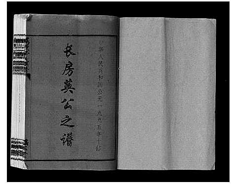 [辛]万载辛氏族谱_按房分卷_总卷2册_长房谱44册_次房谱1册_幼房18册 (江西) 万载辛氏家谱_十四.pdf