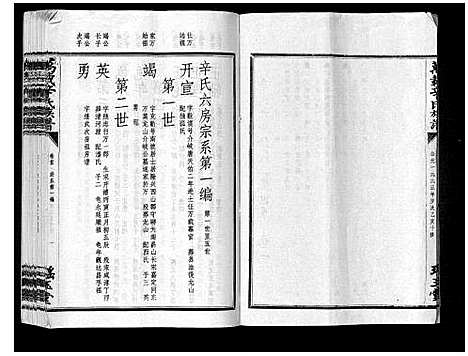 [辛]万载辛氏族谱_按房分卷_总卷2册_长房谱44册_次房谱1册_幼房18册 (江西) 万载辛氏家谱_十四.pdf