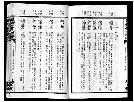 [辛]万载辛氏族谱_按房分卷_总卷2册_长房谱44册_次房谱1册_幼房18册 (江西) 万载辛氏家谱_十五.pdf