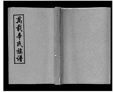 [辛]万载辛氏族谱_按房分卷_总卷2册_长房谱44册_次房谱1册_幼房18册 (江西) 万载辛氏家谱_十七.pdf