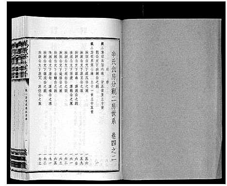 [辛]万载辛氏族谱_按房分卷_总卷2册_长房谱44册_次房谱1册_幼房18册 (江西) 万载辛氏家谱_十八.pdf