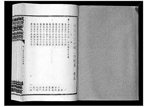 [辛]万载辛氏族谱_按房分卷_总卷2册_长房谱44册_次房谱1册_幼房18册 (江西) 万载辛氏家谱_十九.pdf