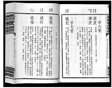 [辛]万载辛氏族谱_按房分卷_总卷2册_长房谱44册_次房谱1册_幼房18册 (江西) 万载辛氏家谱_十九.pdf