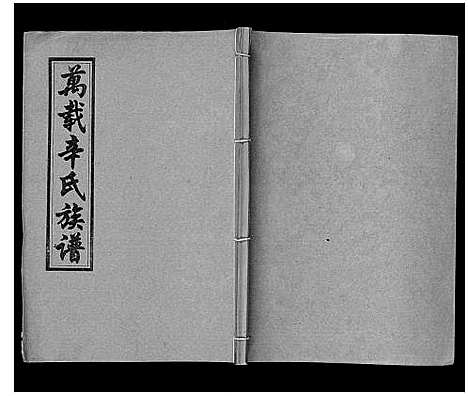 [辛]万载辛氏族谱_按房分卷_总卷2册_长房谱44册_次房谱1册_幼房18册 (江西) 万载辛氏家谱_二十.pdf