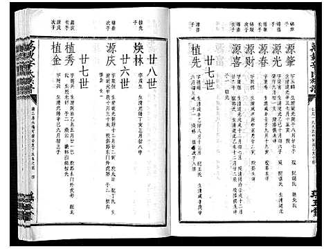 [辛]万载辛氏族谱_按房分卷_总卷2册_长房谱44册_次房谱1册_幼房18册 (江西) 万载辛氏家谱_二十.pdf