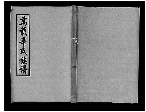 [辛]万载辛氏族谱_按房分卷_总卷2册_长房谱44册_次房谱1册_幼房18册 (江西) 万载辛氏家谱_二十一.pdf