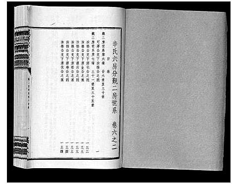 [辛]万载辛氏族谱_按房分卷_总卷2册_长房谱44册_次房谱1册_幼房18册 (江西) 万载辛氏家谱_二十一.pdf