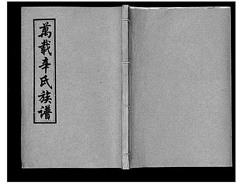 [辛]万载辛氏族谱_按房分卷_总卷2册_长房谱44册_次房谱1册_幼房18册 (江西) 万载辛氏家谱_二十二.pdf