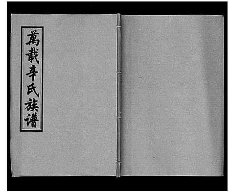 [辛]万载辛氏族谱_按房分卷_总卷2册_长房谱44册_次房谱1册_幼房18册 (江西) 万载辛氏家谱_二十三.pdf