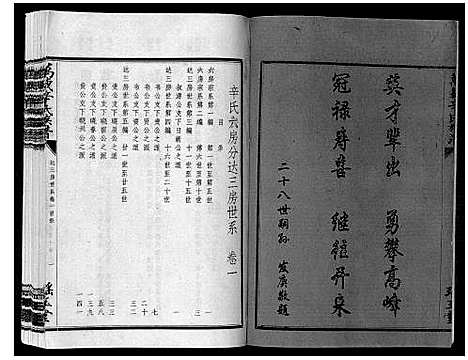 [辛]万载辛氏族谱_按房分卷_总卷2册_长房谱44册_次房谱1册_幼房18册 (江西) 万载辛氏家谱_二十八.pdf