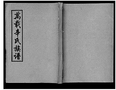 [辛]万载辛氏族谱_按房分卷_总卷2册_长房谱44册_次房谱1册_幼房18册 (江西) 万载辛氏家谱_二十九.pdf