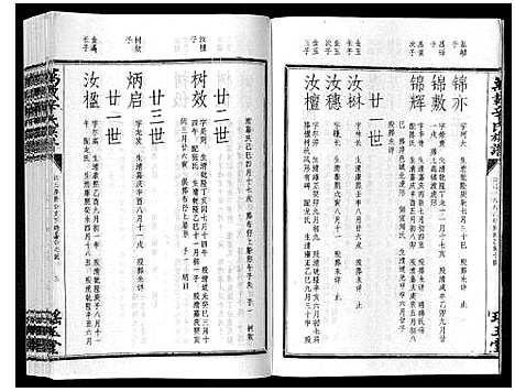 [辛]万载辛氏族谱_按房分卷_总卷2册_长房谱44册_次房谱1册_幼房18册 (江西) 万载辛氏家谱_二十九.pdf