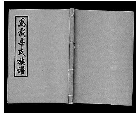 [辛]万载辛氏族谱_按房分卷_总卷2册_长房谱44册_次房谱1册_幼房18册 (江西) 万载辛氏家谱_三十.pdf