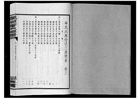 [辛]万载辛氏族谱_按房分卷_总卷2册_长房谱44册_次房谱1册_幼房18册 (江西) 万载辛氏家谱_三十.pdf