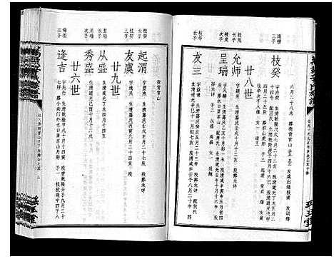 [辛]万载辛氏族谱_按房分卷_总卷2册_长房谱44册_次房谱1册_幼房18册 (江西) 万载辛氏家谱_三十一.pdf