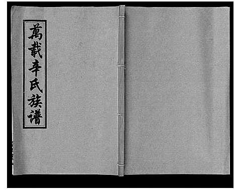 [辛]万载辛氏族谱_按房分卷_总卷2册_长房谱44册_次房谱1册_幼房18册 (江西) 万载辛氏家谱_三十三.pdf