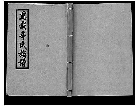 [辛]万载辛氏族谱_按房分卷_总卷2册_长房谱44册_次房谱1册_幼房18册 (江西) 万载辛氏家谱_三十五.pdf