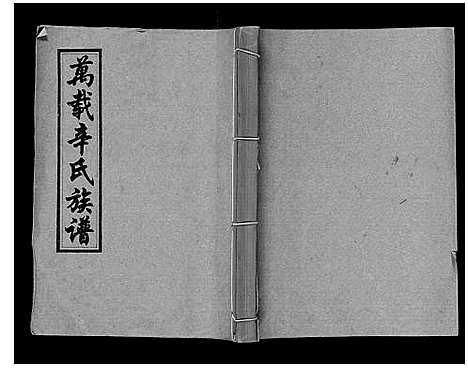 [辛]万载辛氏族谱_按房分卷_总卷2册_长房谱44册_次房谱1册_幼房18册 (江西) 万载辛氏家谱_三十八.pdf