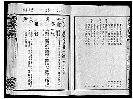 [辛]万载辛氏族谱_按房分卷_总卷2册_长房谱44册_次房谱1册_幼房18册 (江西) 万载辛氏家谱_三十八.pdf