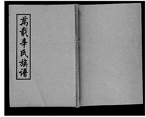 [辛]万载辛氏族谱_按房分卷_总卷2册_长房谱44册_次房谱1册_幼房18册 (江西) 万载辛氏家谱_四十.pdf