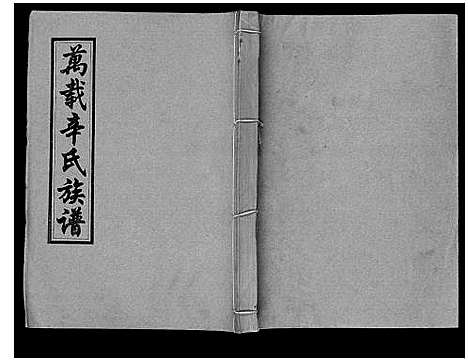 [辛]万载辛氏族谱_按房分卷_总卷2册_长房谱44册_次房谱1册_幼房18册 (江西) 万载辛氏家谱_四十一.pdf