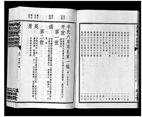 [辛]万载辛氏族谱_按房分卷_总卷2册_长房谱44册_次房谱1册_幼房18册 (江西) 万载辛氏家谱_四十一.pdf