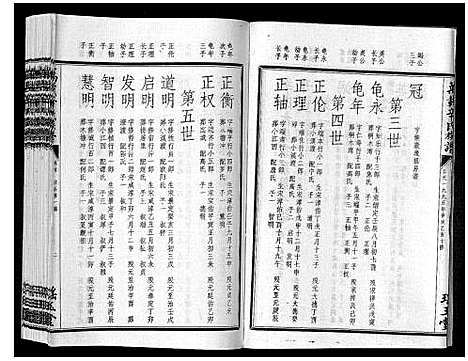 [辛]万载辛氏族谱_按房分卷_总卷2册_长房谱44册_次房谱1册_幼房18册 (江西) 万载辛氏家谱_四十二.pdf