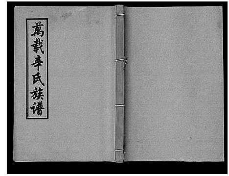 [辛]万载辛氏族谱_按房分卷_总卷2册_长房谱44册_次房谱1册_幼房18册 (江西) 万载辛氏家谱_四十四.pdf