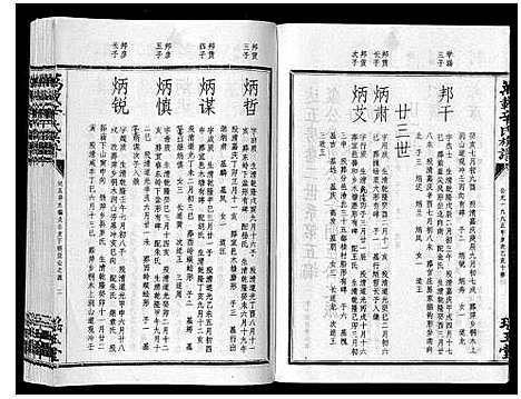 [辛]万载辛氏族谱_按房分卷_总卷2册_长房谱44册_次房谱1册_幼房18册 (江西) 万载辛氏家谱_四十四.pdf