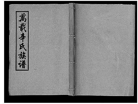 [辛]万载辛氏族谱_按房分卷_总卷2册_长房谱44册_次房谱1册_幼房18册 (江西) 万载辛氏家谱_四十五.pdf