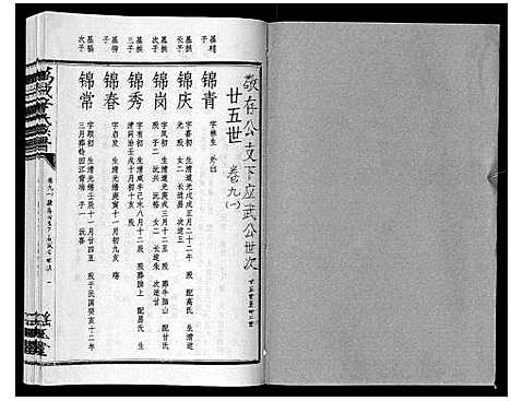 [辛]万载辛氏族谱_按房分卷_总卷2册_长房谱44册_次房谱1册_幼房18册 (江西) 万载辛氏家谱_五十六.pdf