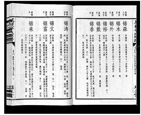 [辛]万载辛氏族谱_按房分卷_总卷2册_长房谱44册_次房谱1册_幼房18册 (江西) 万载辛氏家谱_五十六.pdf