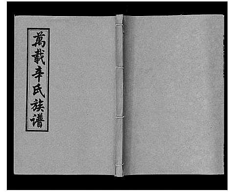 [辛]万载辛氏族谱_按房分卷_总卷2册_长房谱44册_次房谱1册_幼房18册 (江西) 万载辛氏家谱_五十七.pdf