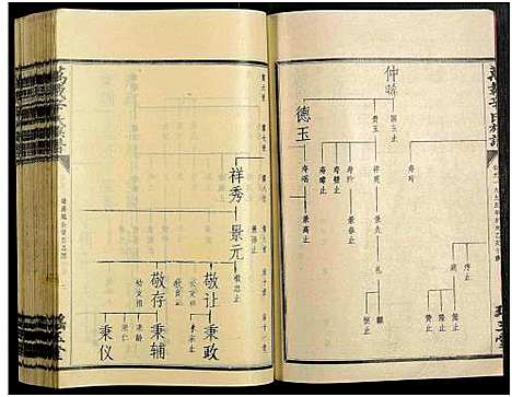 [辛]万载辛氏族谱_按房分卷_总卷2册_长房谱44册_次房谱1册_幼房18册 (江西) 万载辛氏家谱_A071.pdf