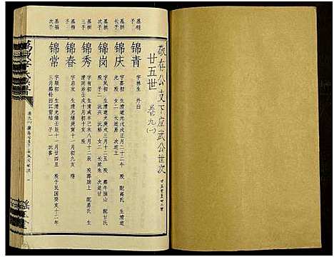 [辛]万载辛氏族谱_按房分卷_总卷2册_长房谱44册_次房谱1册_幼房18册 (江西) 万载辛氏家谱_A073.pdf