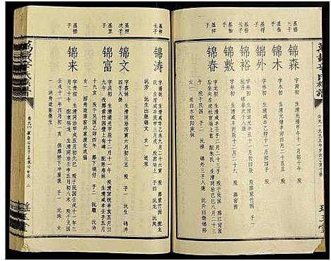 [辛]万载辛氏族谱_按房分卷_总卷2册_长房谱44册_次房谱1册_幼房18册 (江西) 万载辛氏家谱_A073.pdf