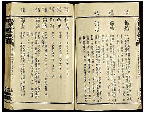 [辛]万载辛氏族谱_按房分卷_总卷2册_长房谱44册_次房谱1册_幼房18册 (江西) 万载辛氏家谱_A073.pdf