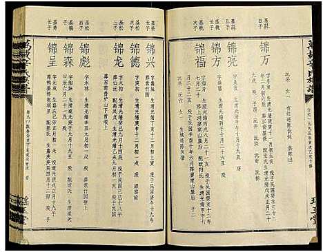 [辛]万载辛氏族谱_按房分卷_总卷2册_长房谱44册_次房谱1册_幼房18册 (江西) 万载辛氏家谱_A073.pdf