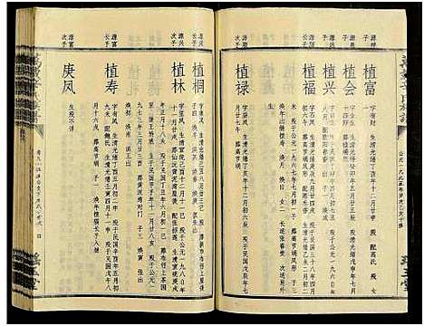 [辛]万载辛氏族谱_按房分卷_总卷2册_长房谱44册_次房谱1册_幼房18册 (江西) 万载辛氏家谱_A074.pdf