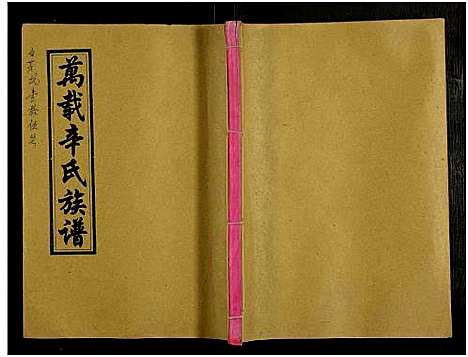 [辛]万载辛氏族谱_按房分卷_总卷2册_长房谱44册_次房谱1册_幼房18册 (江西) 万载辛氏家谱_A076.pdf