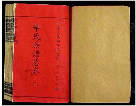 [辛]万载辛氏族谱_按房分卷_总卷2册_长房谱44册_次房谱1册_幼房18册 (江西) 万载辛氏家谱_A079.pdf