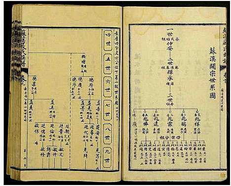 [严]苏溪严氏族谱_20卷及卷首 (江西) 苏溪严氏家谱_七.pdf